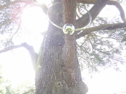 ou know you are in France when you find a tree with an earring, rather, a branch-ring